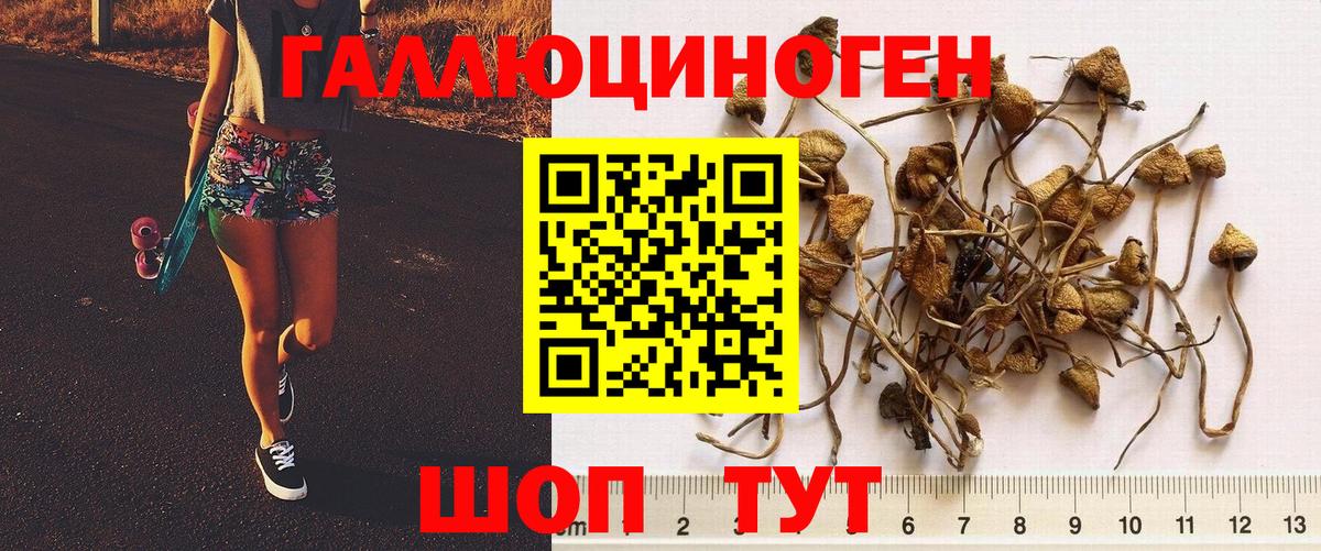 Псилоцибиновые грибы Magic Shrooms Ейск