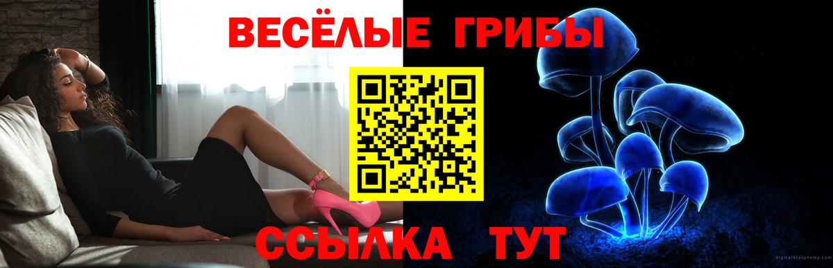 Псилоцибиновые грибы прущие грибы  Псилоцибиновые грибы мухоморы  Ейск 